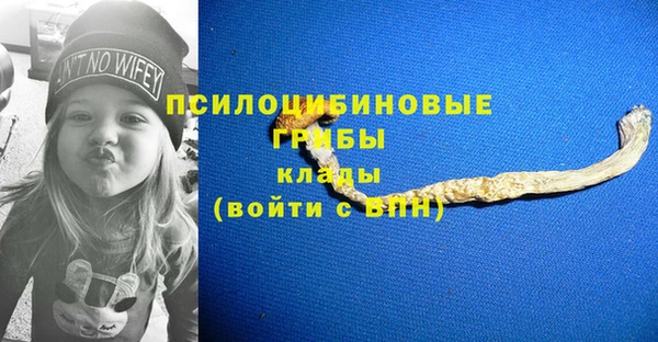винт Баксан